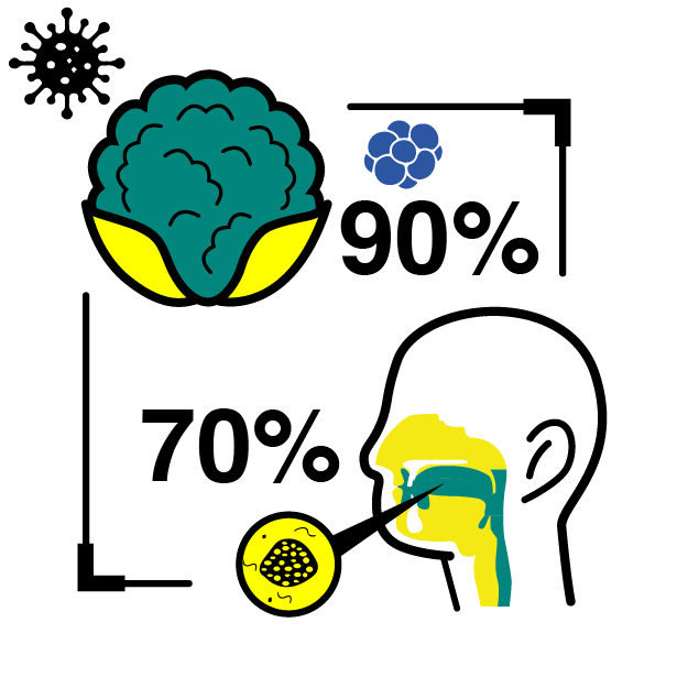 Graphic icon indicating 90% & 70% of HPV caused disease