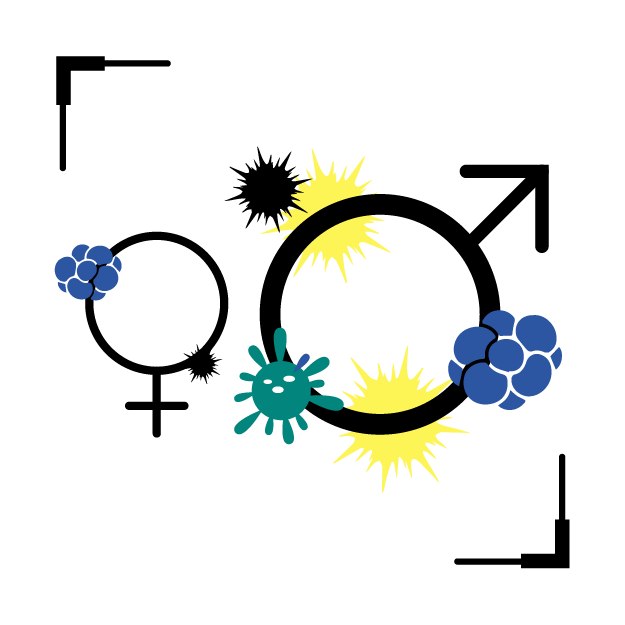 Graphic icon of male & female symbol filled with germs, with male symbol to be much larger than female one