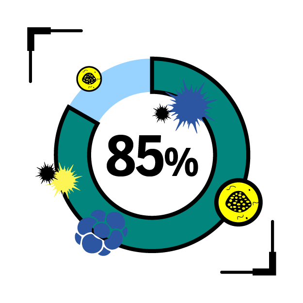Graphic icon of a circular chart with 85% inside, and germs around the chart