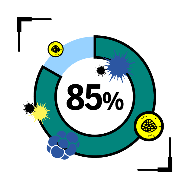 Graphic icon of a circular chart with 85% inside, and germs around the chart
