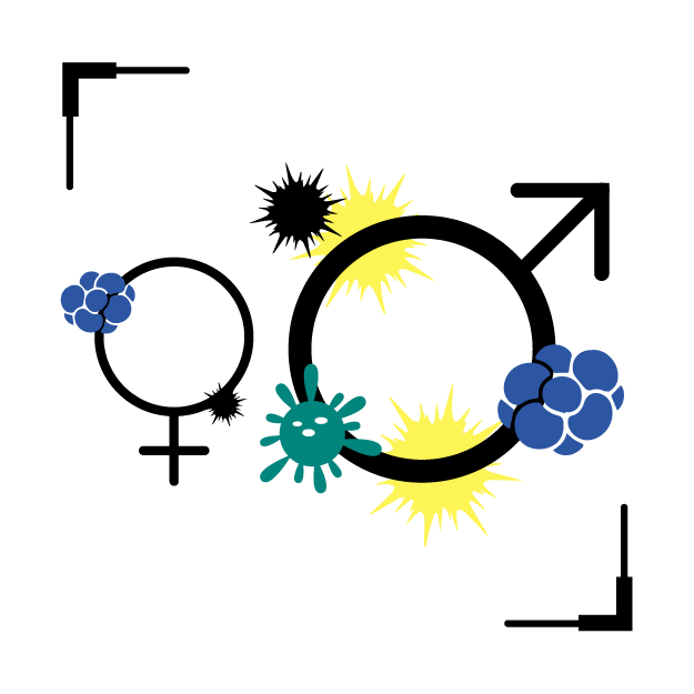 Graphic icon of male & female symbol filled with germs, with male symbol to be much larger than female one