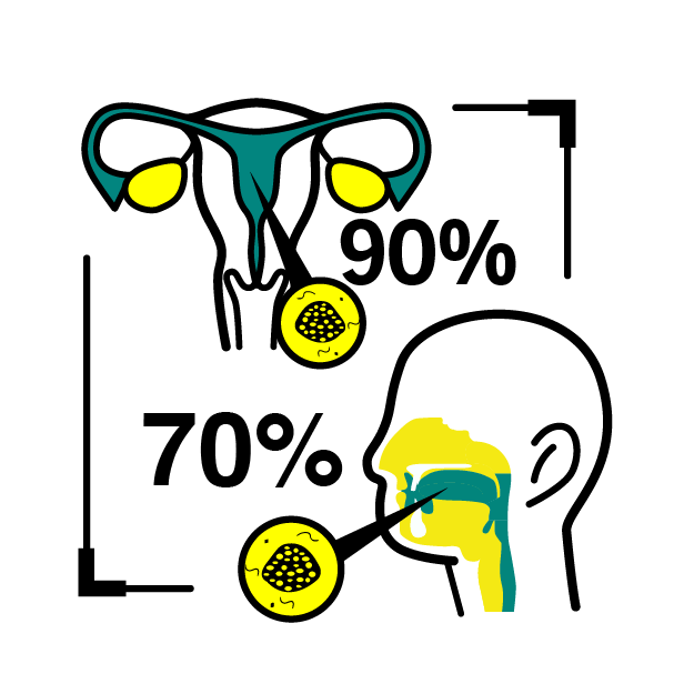 Graphic icon indicating 90% & 70% of HPV caused disease